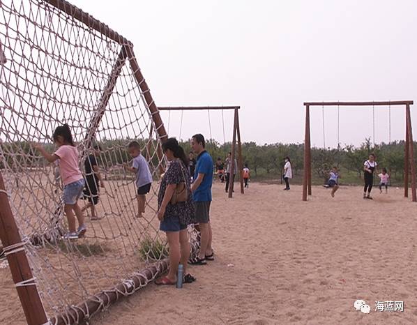 黄骅最新版五人尖子顶，探究与解析