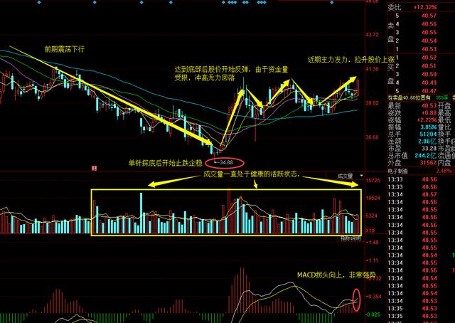 澳门今晚开特马+开奖结果走势图,市场趋势方案实施_专业版150.205