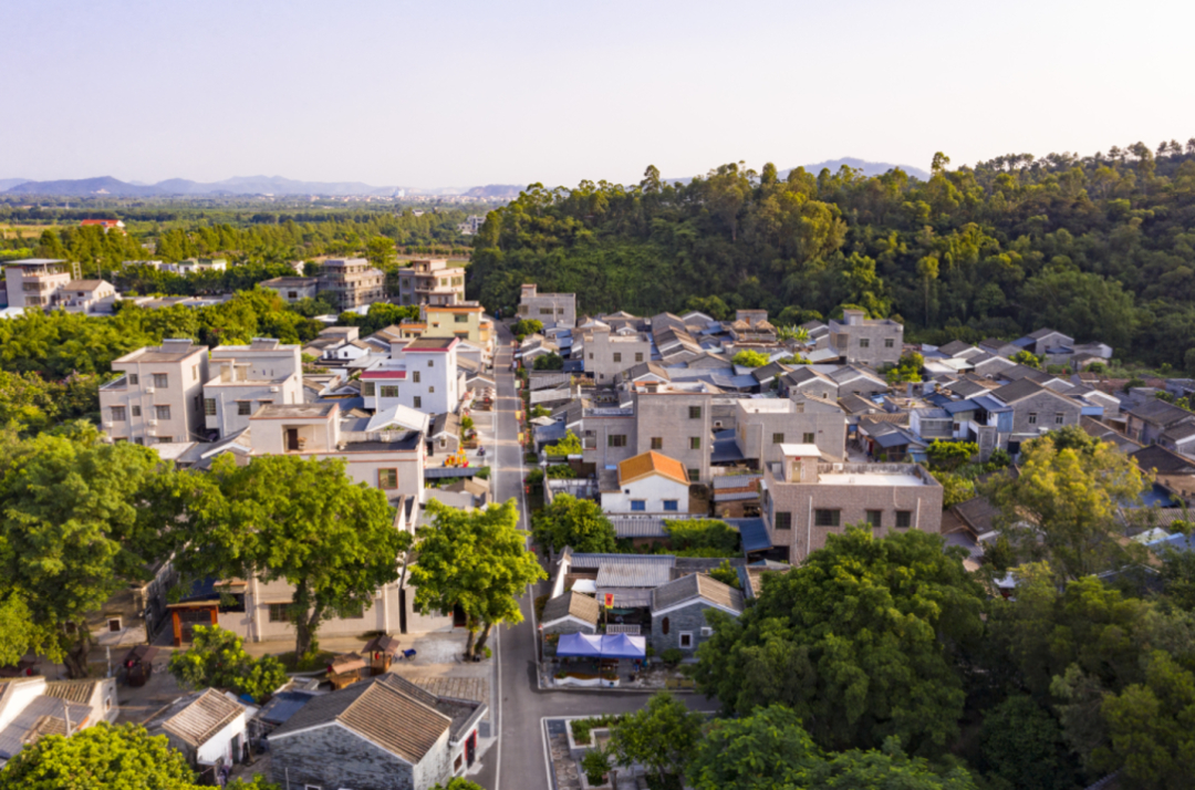 珠海宅基地政策最新解读，政策细节一览