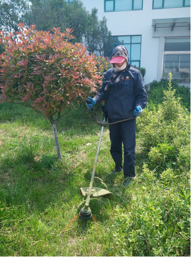 城市绿化建设与管理的数字化探索，绿化工下载应用探讨