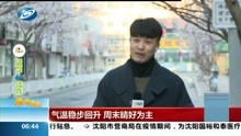 都市精英顾晚与曾煜的奋斗与成长之旅