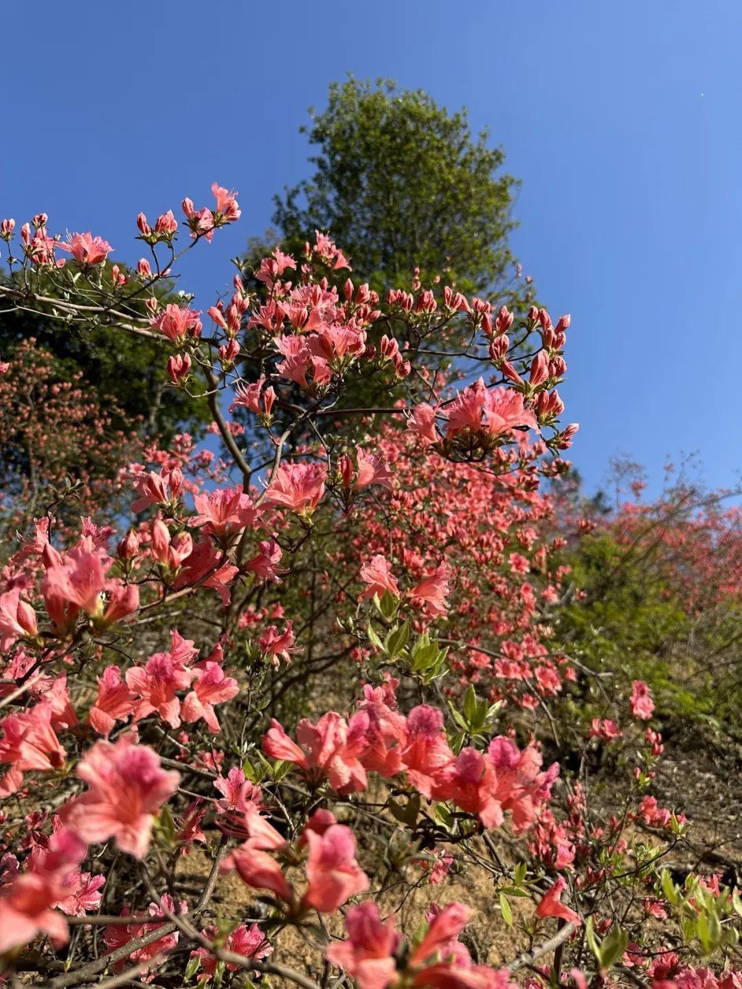 下管村委会天气预报更新通知