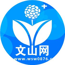 文山贴吧最新消息揭秘，探索与发现的前沿动态