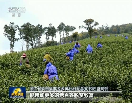 青川青青溪最新动态，生态发展与人居环境融合共进