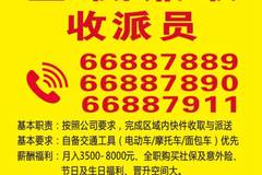 顺德乐从招聘网最新招聘动态与地区就业市场影响分析