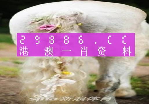 今晚澳门必中一肖一码四不像,最新解答解析说明_SHD28.217