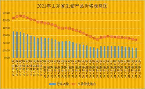 山东生猪价格最新行情分析与预测，今日猪价概览