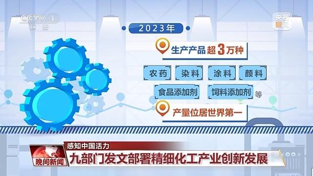 2024新澳门正版大全,互动性执行策略评估_标准版6.676