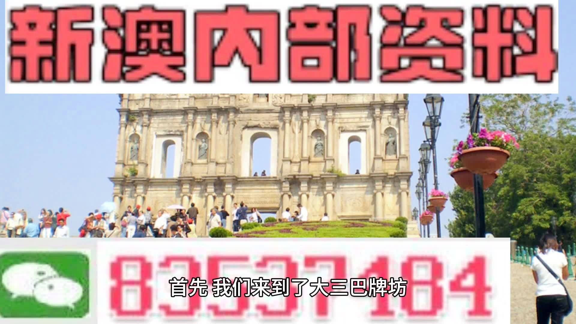 2024新澳彩料免费资料,准确资料解释落实_动态版2.236