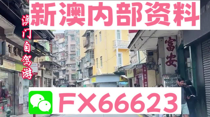 新澳最精准的资料,诠释解析落实_模拟版9.232