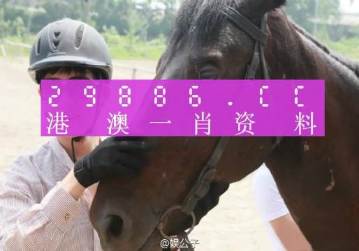 澳门今晚必中一肖一码准,绝对经典解释落实_精简版105.220