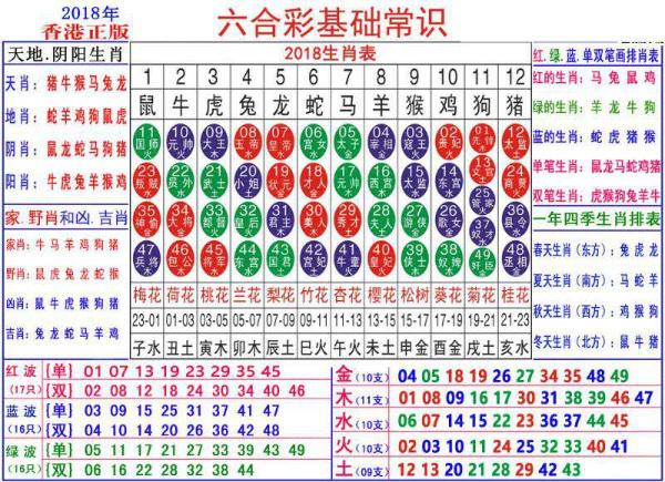 澳门正版资料大全资料生肖卡,最新答案解释落实_进阶版6.662