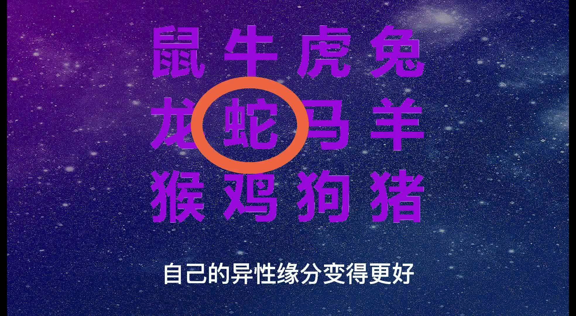 2024澳门今天晚上开什么生肖啊,时代资料解释落实_潮流版3.739