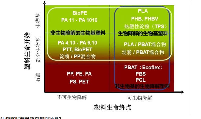 2024最新奥马免费之料,准确资料解释落实_潮流版2.773