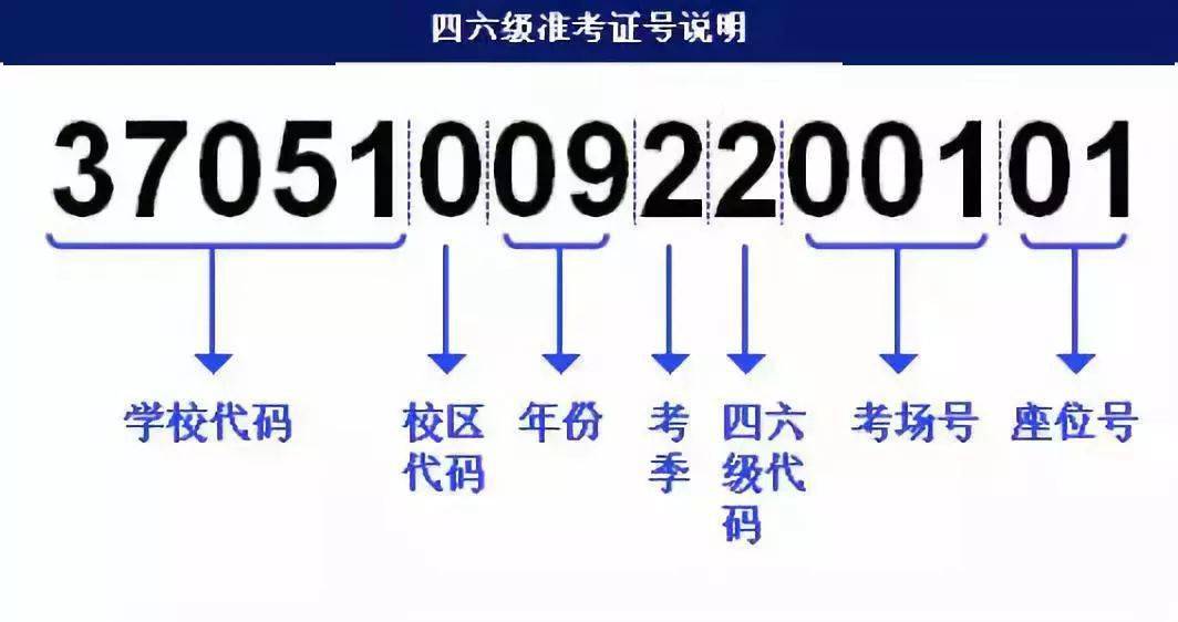 新澳门平特一肖100准,快速解答方案解析_高级版11.747