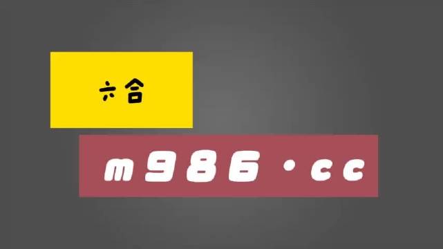 白小姐一肖一码准确一肖,绝对经典解释落实_豪华版180.300