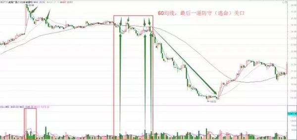 揭秘一码一肖100%准确,最新方案解析_娱乐集17.748