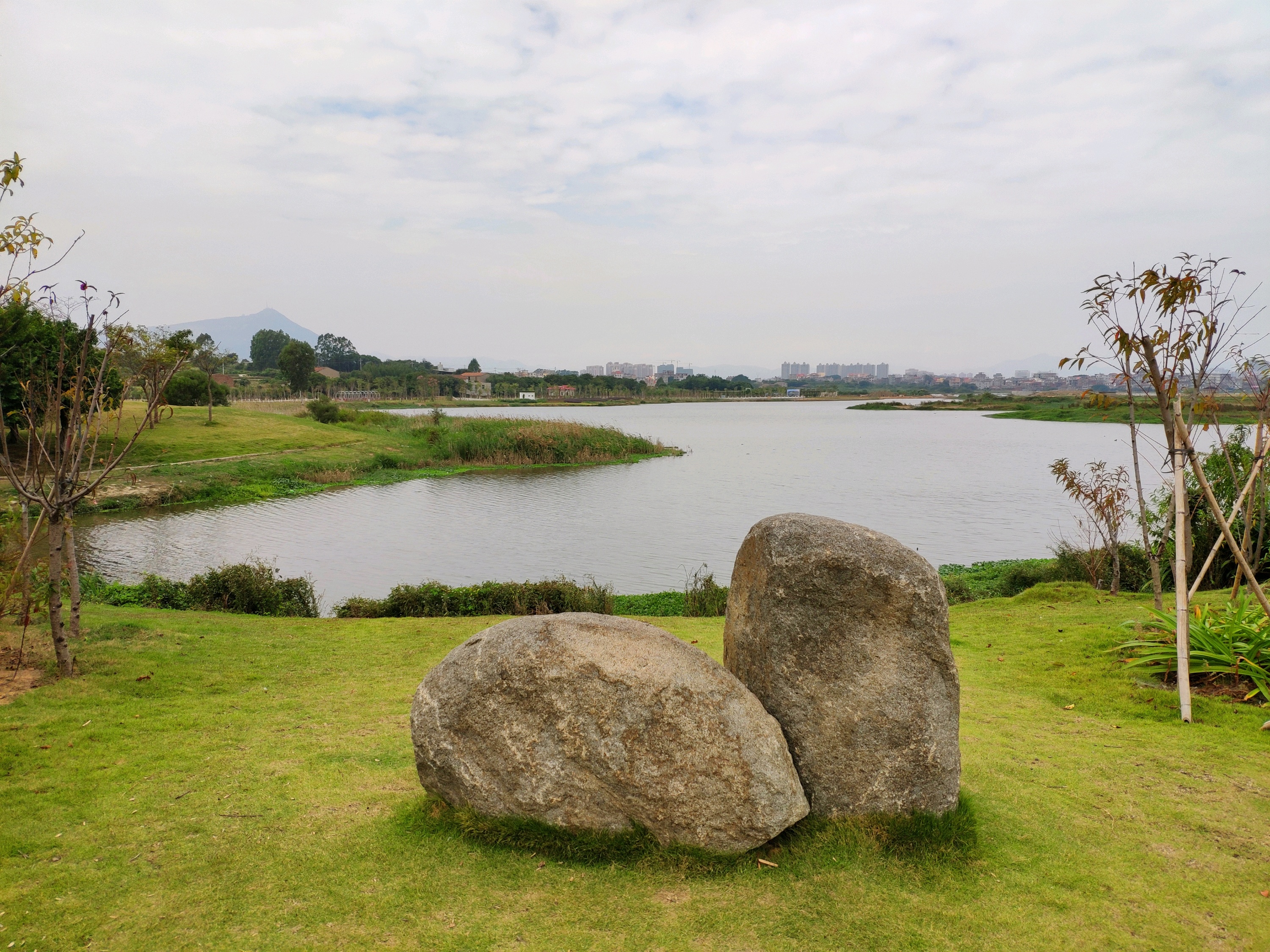 土海湿地公园最新动态报道