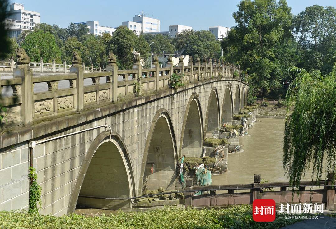 成都九龙桥最新事件，城市变迁中的璀璨风景线