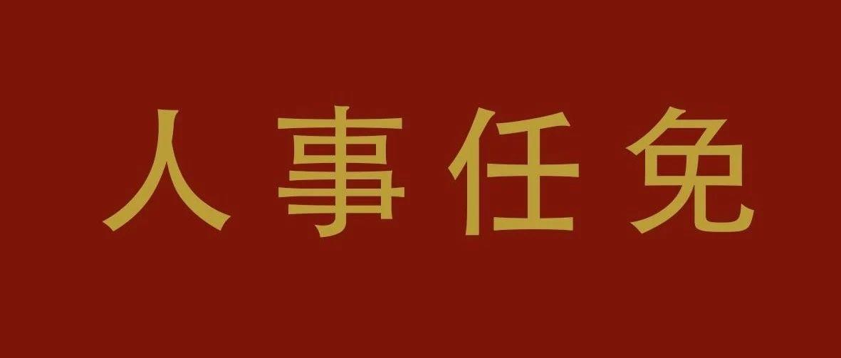 武进区最新人事任免信息概览