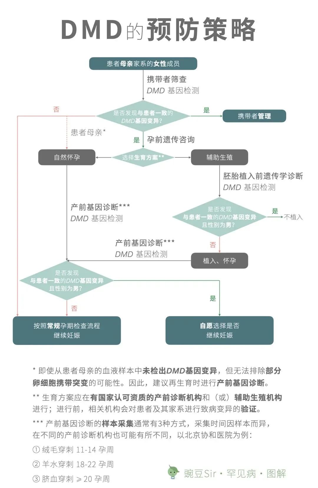 戴毅最新DMD论文揭示肌营养不良症进展与未来治疗方向探索