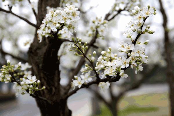 龙泉生态移民补偿政策最新解读