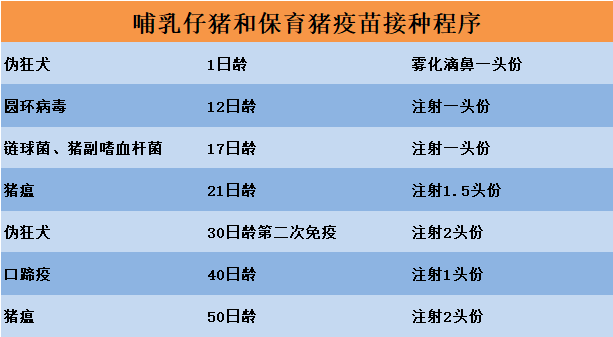 最新母猪免疫程序表及其应用指南