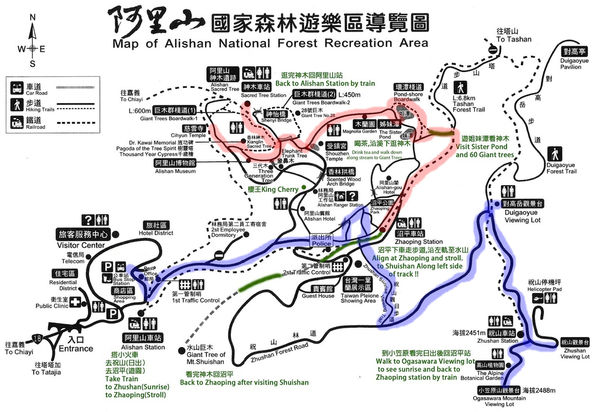 最新森林地图揭示自然生态与环保新篇章