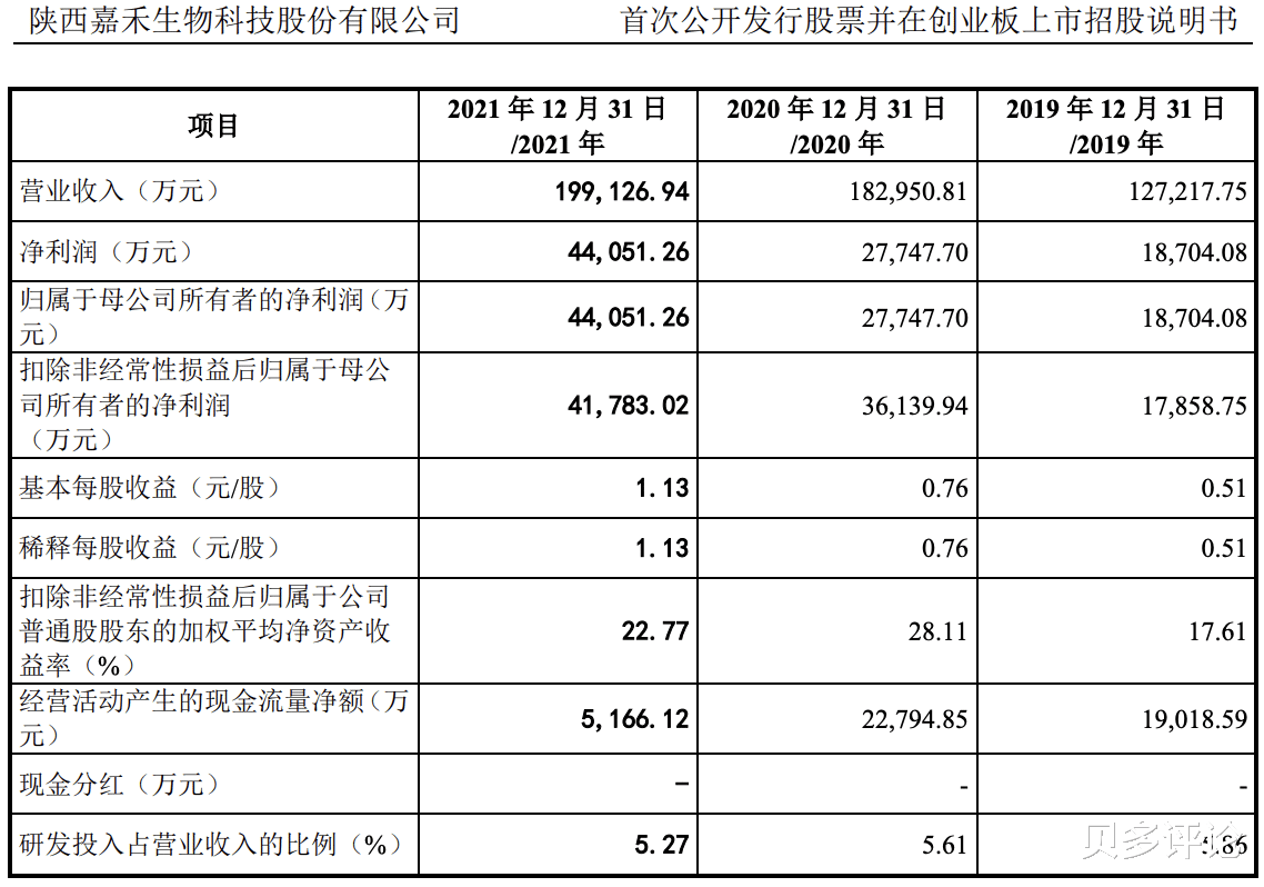 禾嘉股份最新传闻全面解析