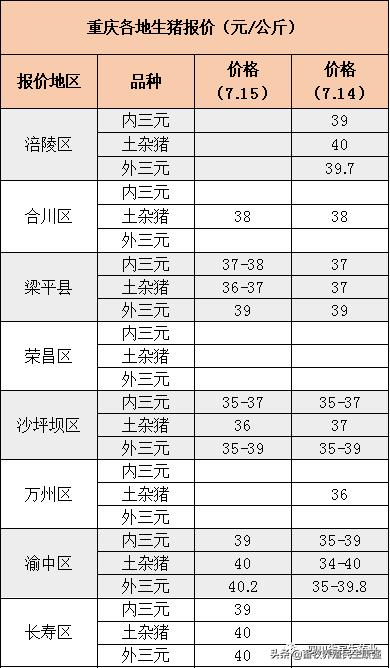 肉鸡苗最新价格走势与市场动态深度解析