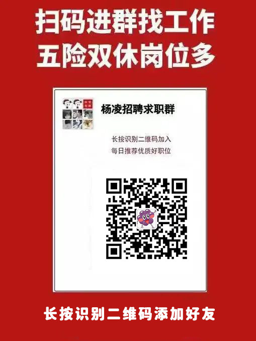 杨凌最新招聘职位全面解析