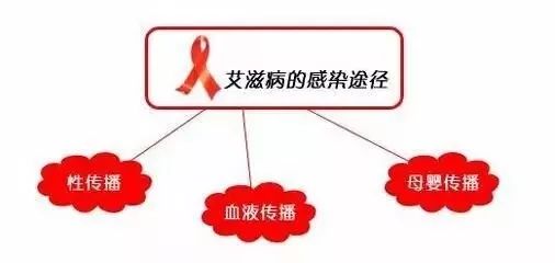 最新艾滋感染排除时间的研究探讨，深化理解与应对之道