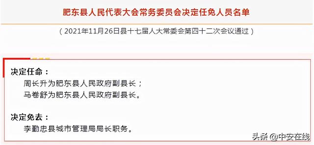 息县人民政府最新人事任免公告发布