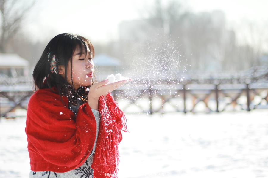 雪之舞，艺术盛宴的下载之旅