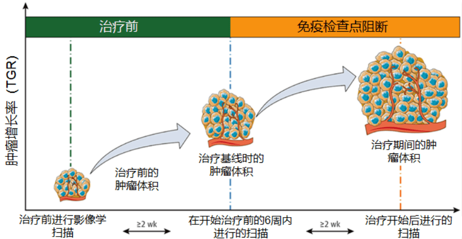 免疫治疗重大突破，开启疾病治疗新纪元