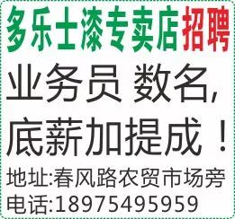 甘谷金点子招聘启事，最新职位空缺等你来挑战