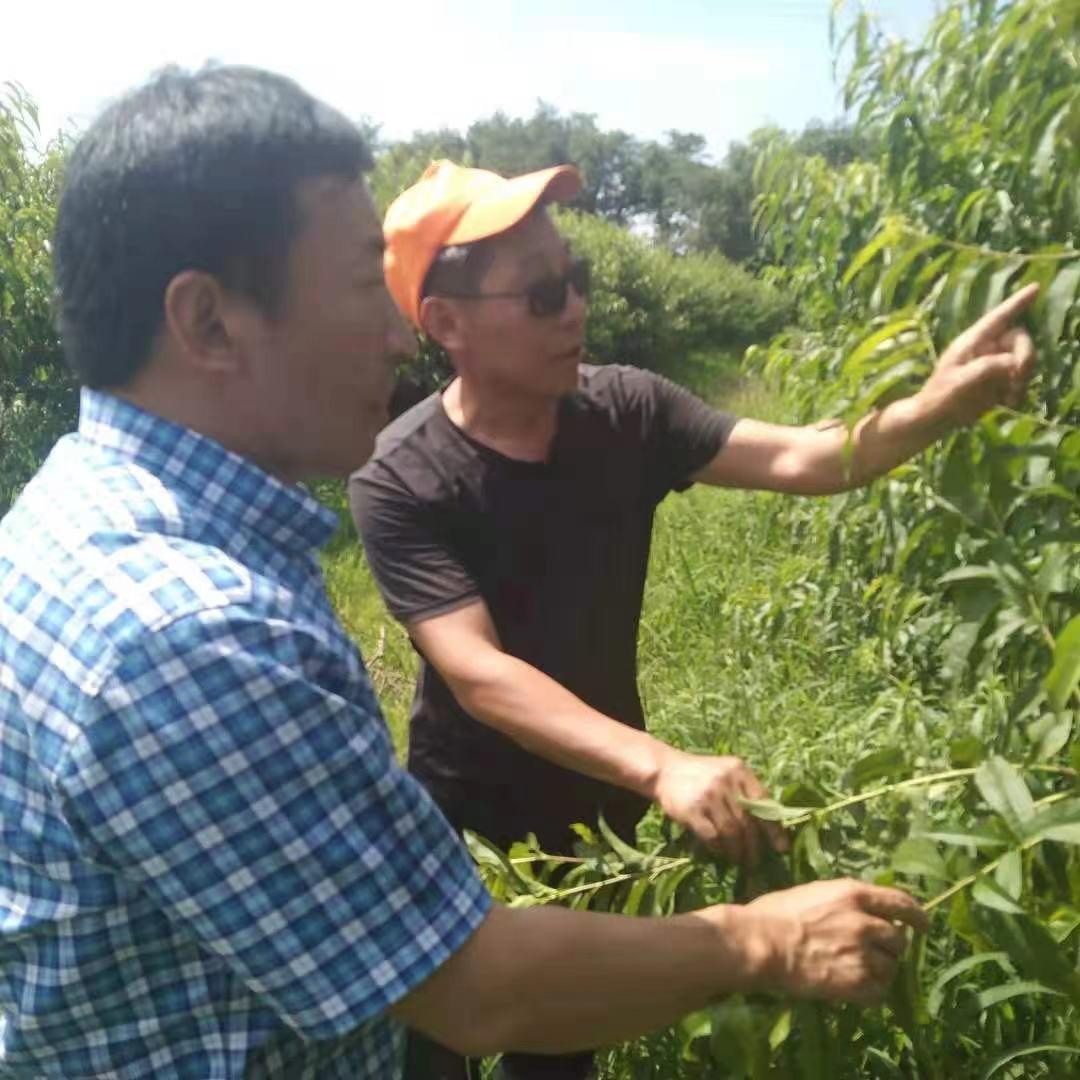 香隅化工园招聘启事，职业发展的理想选择，开启您的职业之旅