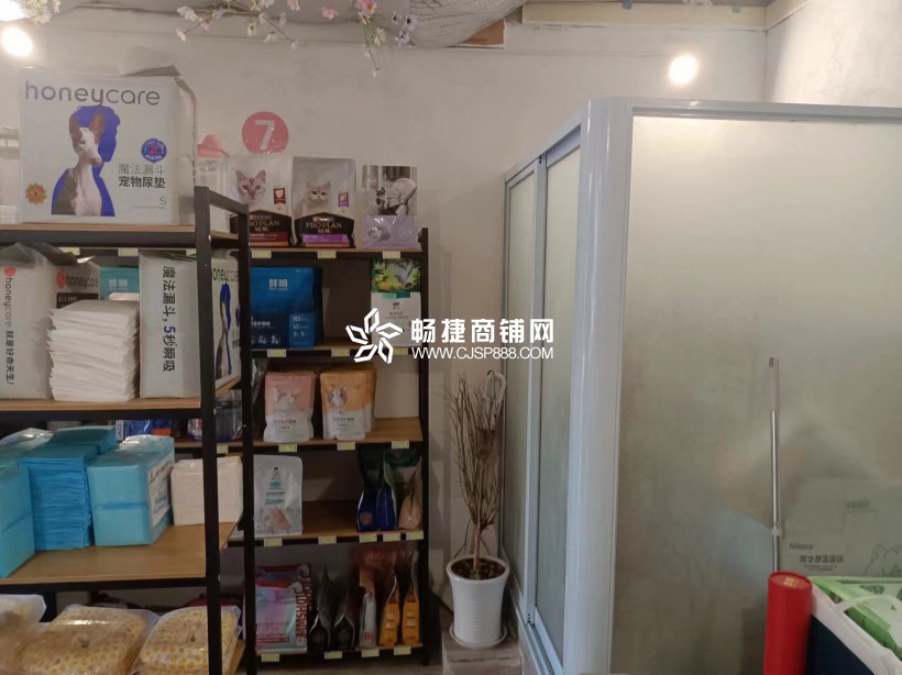 西安宠物店转让背后的故事与未来展望