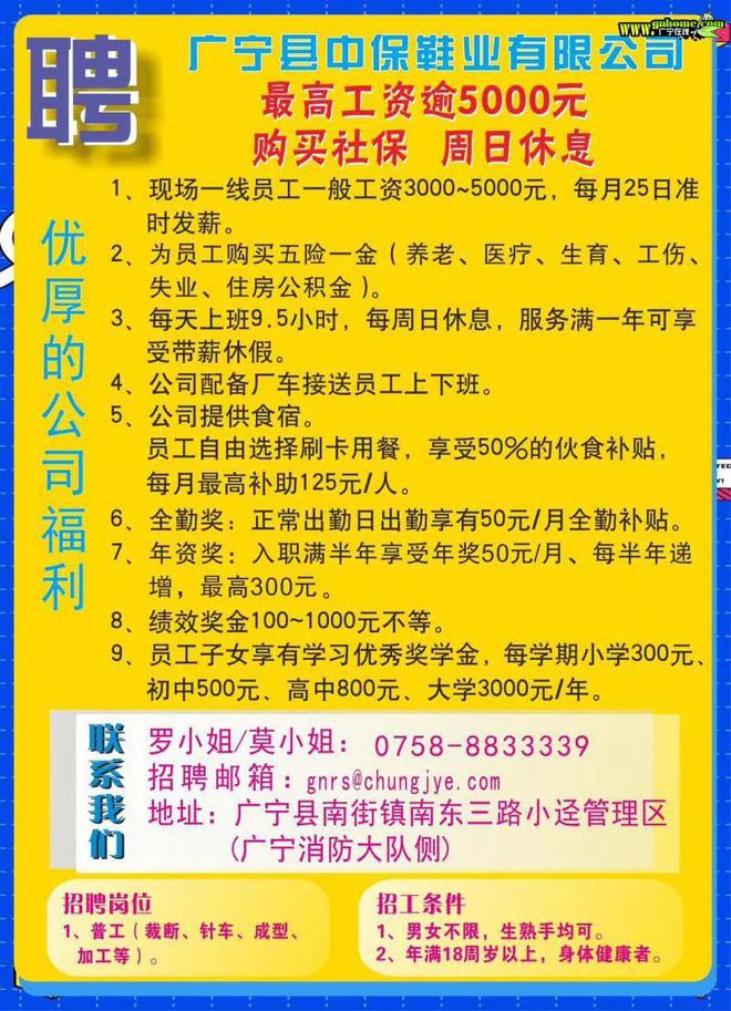 广州番禺东涌招聘动态更新与职业机遇展望