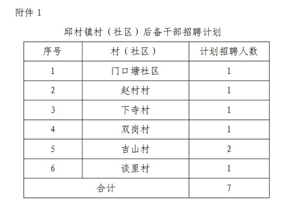 寺村村委会最新招聘信息与招聘细节深度解析